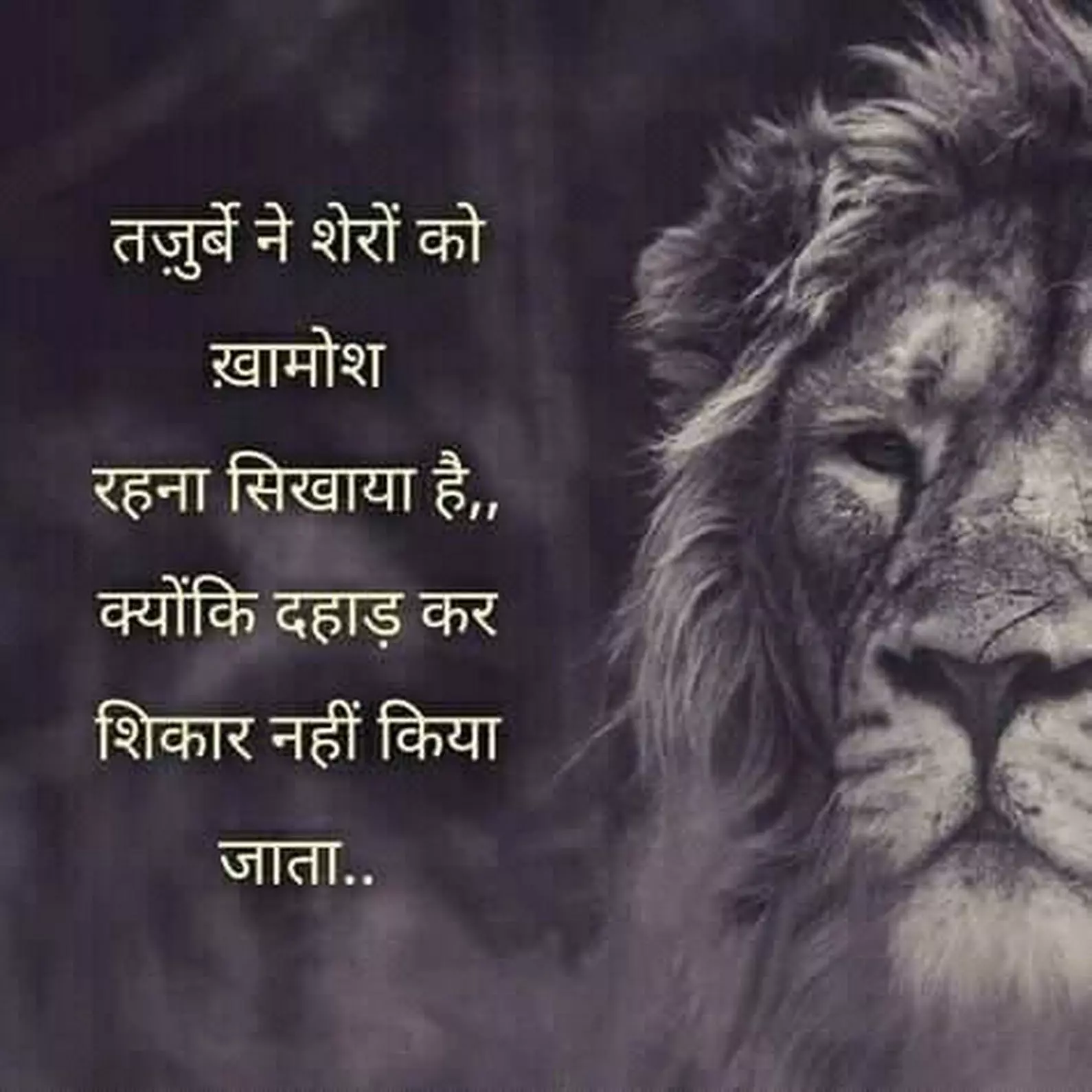  fd60f2de-8dce-42ea-98d8-a456cecb0633_rahul8 