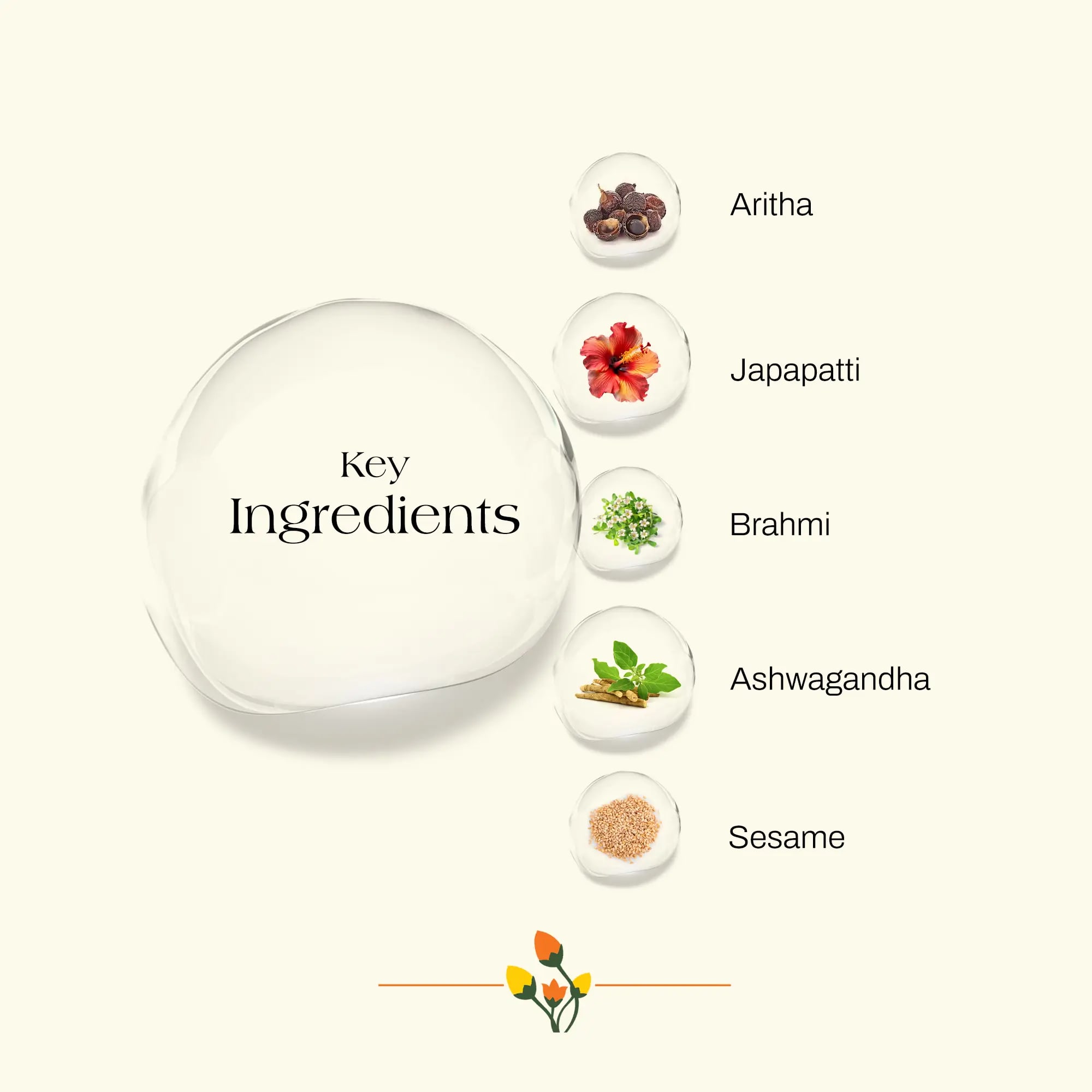 ashpveda Japapatti & Brahmi Hair Conditioner