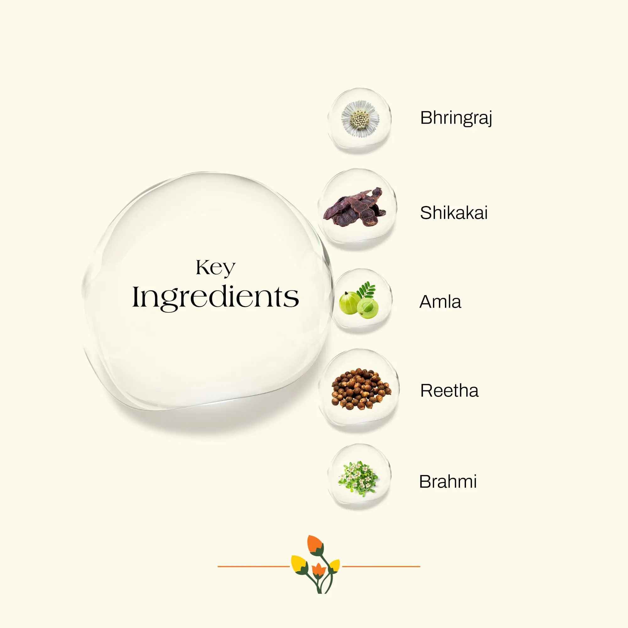 ashpveda Bhringraj & Shikakai Hair Wash