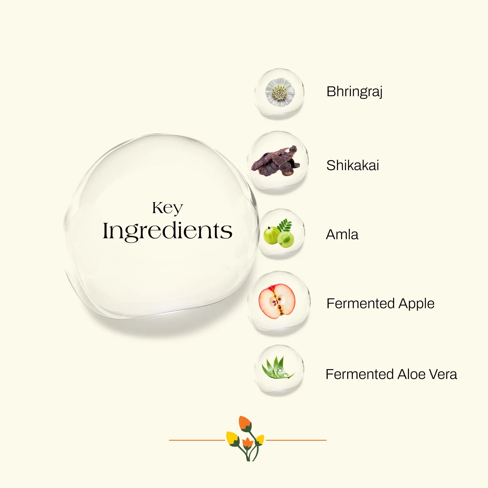 ashpveda Bhringraj & Shikakai Hair Conditioner